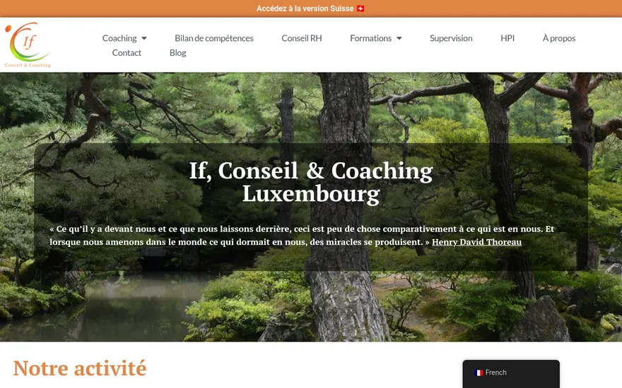 Capture du site If Conseil